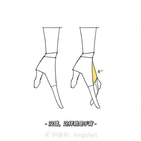 Image result for Hand Reference Drawing Tips