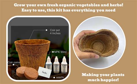 City Greens Garden Starter Kit | Seed Starter Kit | 4 in 1 Vegetable ...