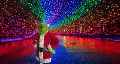 Selfies with Santa and the Grinch , 1355 Front Street, Lonoke, AR ...