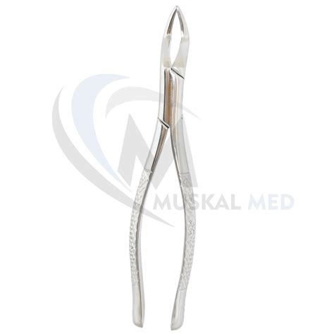 MuskalMed Dental Extracting Forceps Extraction Forceps # 65 India | Ubuy