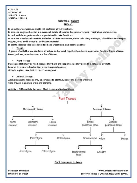 NCERT Class 9 Lesson 6 in Science Notes 的图像结果