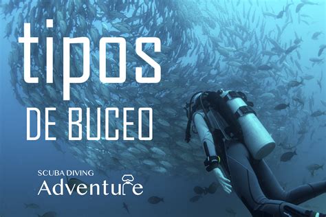 ¿Cuántos tipos de buceo existen? - Scuba Diving Adventure