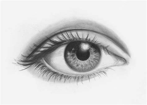face drawing eyes