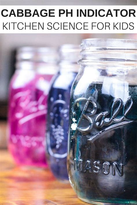 Experiments Projects 的图像结果