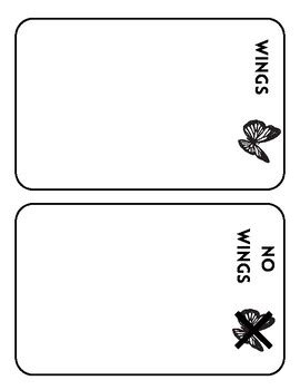 Image result for Insect Sorting