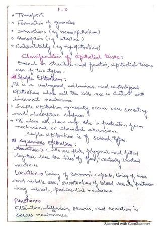 Classification of Tissues 的图像结果