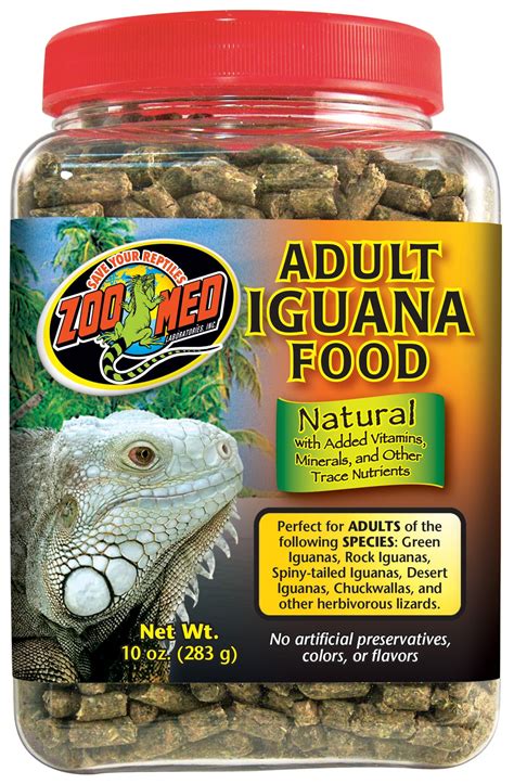Green Iguana Diet