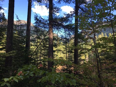 Strathcona Park British Columbia Wallpapers - Wallpaper Cave