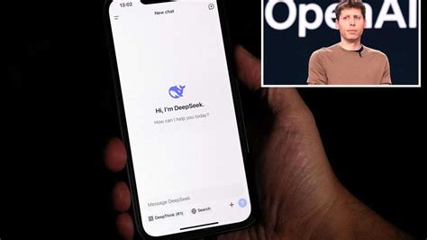 Openai Deepseek 的图像结果