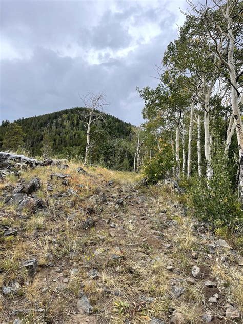 Willow Mine Trail , Colorado - GPS Trail Map, Conditions & Difficulty ...