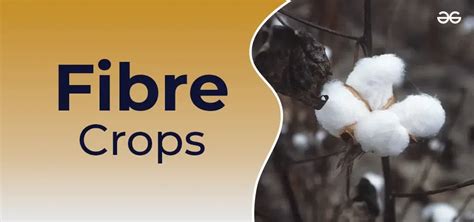 Crops 的图像结果