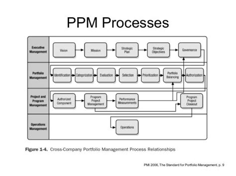 Image result for PPM SAP Structure Portfolio