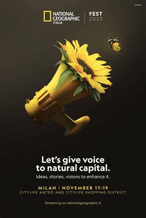 Advertisements Examples 的图像结果