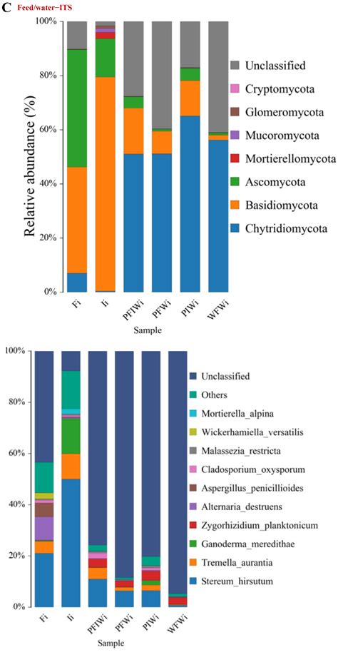 The Effects of Different Feeding Regimes on Body Composition, Gut ...
