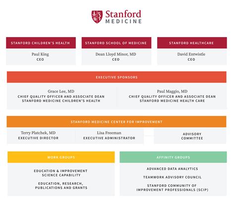 TEAM — Stanford Medicine Center for Improvement