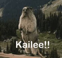 Image result for Dramatic Gopher