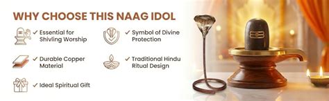 Buy Salvus APP SOLUTIONS Copper Naag Idol for Shivling Pooja ...