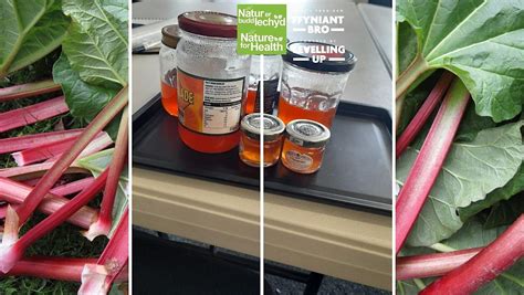 Riwbob Jeli Sesiwn - Rhubard Jelly Session, Pengwern Hub, Llangollen ...