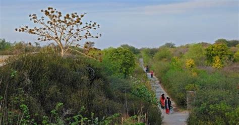 Another Massive Biodiversity Park In The Aravalli Mountain Range Is ...