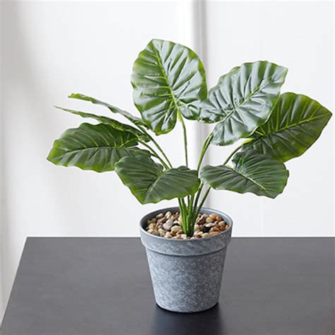Artificial Plant in Pot Online - Premium Artificial Plant | Nestasia