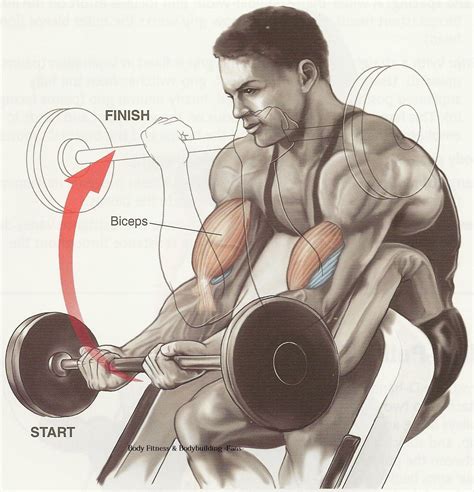 Biceps Workout Tips-Best Workout for Biceps | Bodybuilding and Fitness Zone
