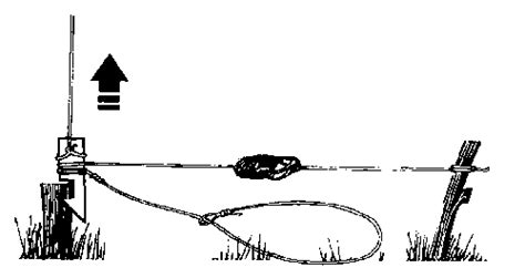 Spring Snare Trigger 的图像结果