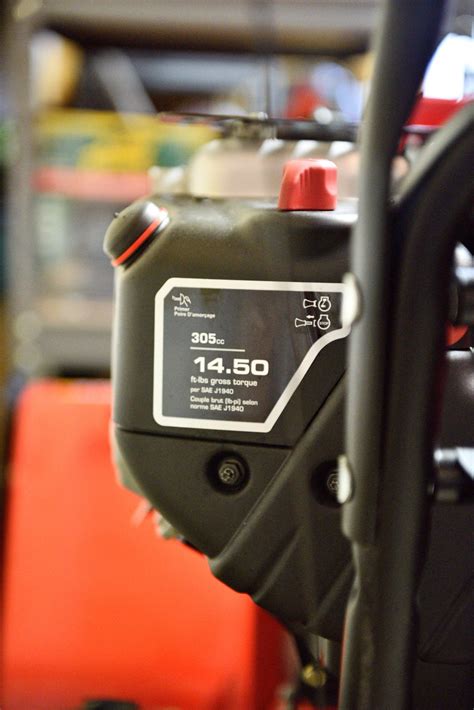 Image result for Snapper Snow