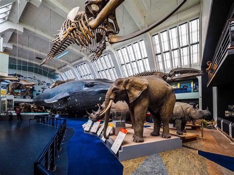 15 Best Museums in London You Have to See in 2023 - Traveling Tour Guides | Your Dream Destinations