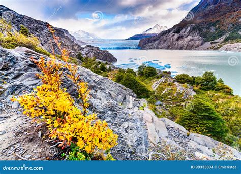 Grey Glacier, Patagonia, Chile Stock Photo - Image of amazing, colorful ...