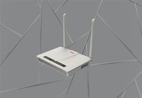 Optical Network Terminals (ONT)