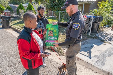 Longview animal shelter increases adoptions, reduces euthanasia – but ...