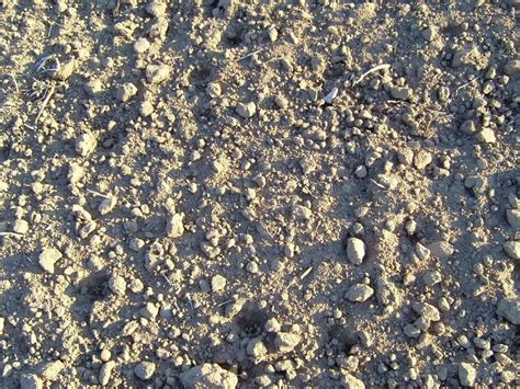 Image result for Earth Blocks Texture