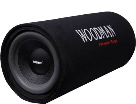 Woodman BT12 12 Inch Basstube With Inbuilt Amplifier Subwoofer Price in ...