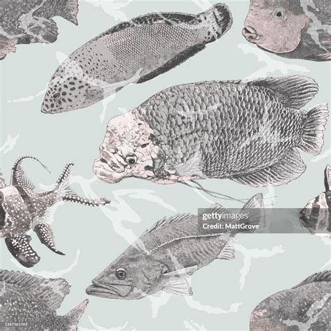 Image result for Fish Repeat Pattern