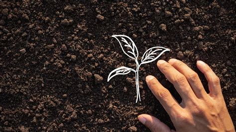 Top Real Estate Developers in Hyderabad | Silpa Infratech Ltd