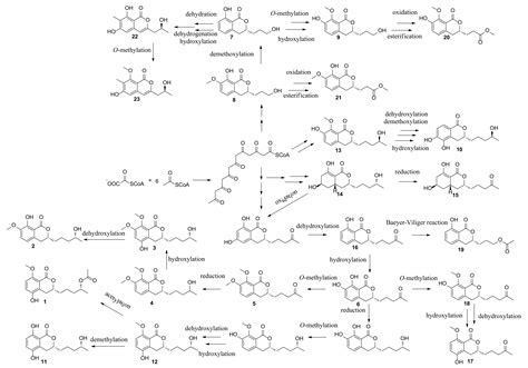 Talaromarins A–F: Six New Isocoumarins from Mangrove-Derived Fungus ...