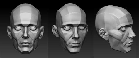 Pin by Ali Ehab on Sketch | Planes of the face, Face anatomy, Human ...