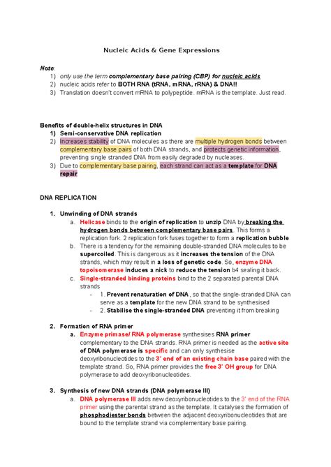 H2 Biology Notes: Nucleic Acids, Gene Expression & Enzyme Function ...