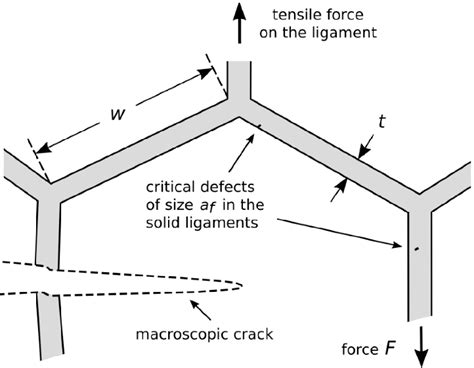 Image result for Most Dense Hexagonal Structure