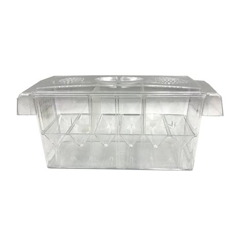 Buy Fish Breeding Box Aquarium Breeder Box Fish Baby Hatchery Incubator ...