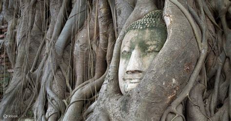 Highlight of Ayutthaya One Day Trip - Klook India