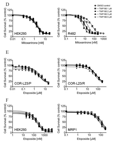 The Selective Class IIa Histone Deacetylase Inhibitor TMP195 ...