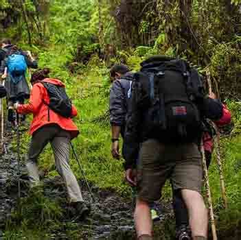 koynasrushti Agro Tourism - Bamnoli Hotels, Vasota, Kas | Tourist ...