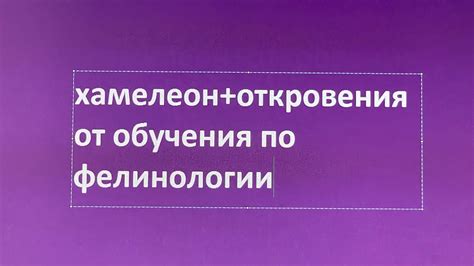 Хамелеон+откровение по обучению фелинологии - YouTube