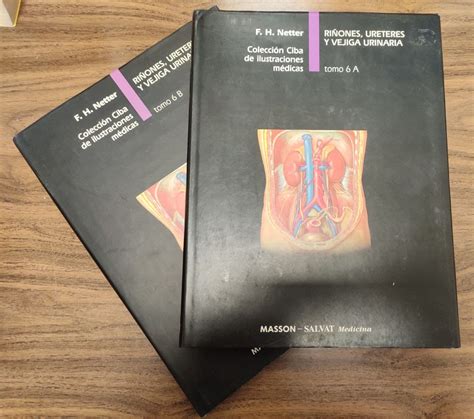 Riñones, uréteres y vejiga urinaria – Librería La Leona
