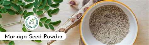 Moringa Seed Powder 1kg | Murungai Vidhai Powder l Drumstick Seed ...