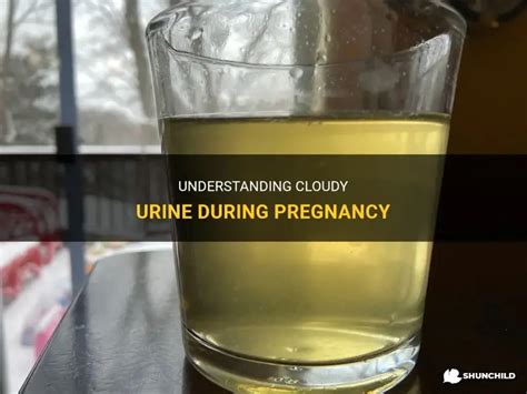 Understanding Cloudy Urine During Pregnancy | ShunChild