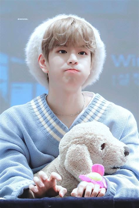 Pin by Lisa 🐯 on Stray Kids ♡ | Stray kids seungmin, Kids, Stray