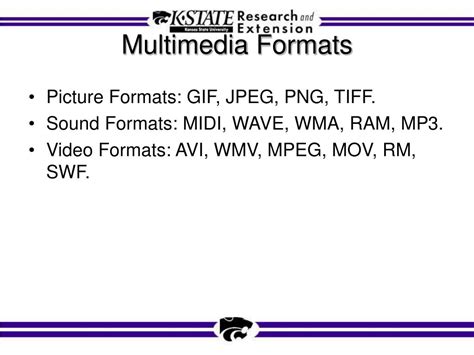 Image result for Multimedia Format of Video