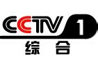 CCTV1在线直播_中央一台在线直播回放全部视频 - 恩信网